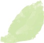 icon leaf