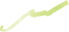 icon leaf